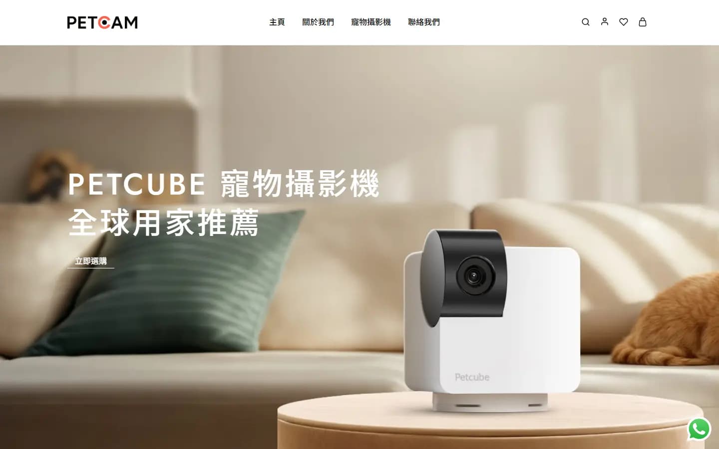 PetCam 首頁,Petcube 寵物攝影機與寵物cam 選品